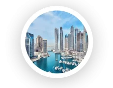 Investment process icon